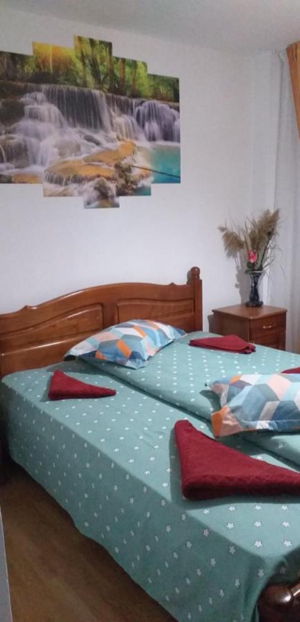 Apartament Aurora 斯兰默多瓦 外观 照片