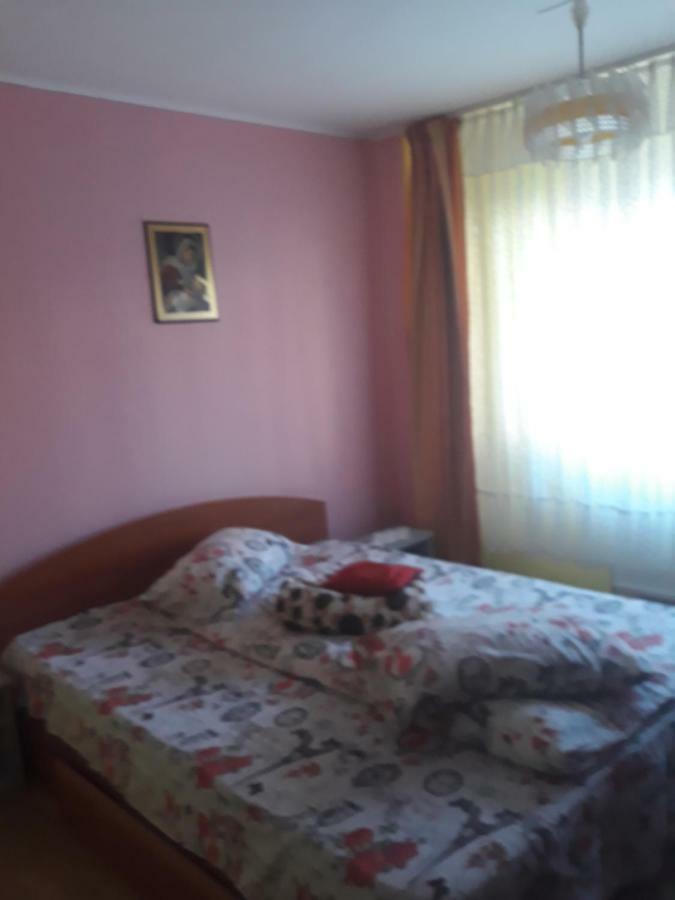 Apartament Aurora 斯兰默多瓦 外观 照片